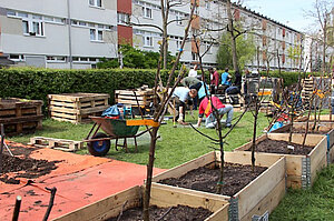 Menschen beim Gärtnern in der Stadt. In mehreren Hochbeeten wurden Bäume gepflanzt.